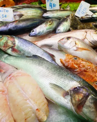 pescados del día