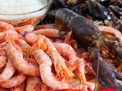 pescados frecos